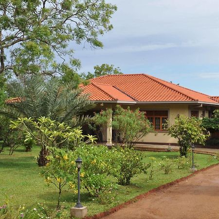 טיסמהרמה The Lake View Bungalow Yala מראה חיצוני תמונה